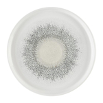 Churchill Studio Prints Fusion Achatgrauer Kochteller mit Wandung, 260 mm (6 Stück)