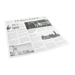 Sier Dispsoabels fettabweisendes Papier Zeitungspapier 300 x 300mm (Box 300)