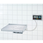 ADE Wandwaage mit Eichzulassung, TerrexL-150-IP + STAN07, 150 kg