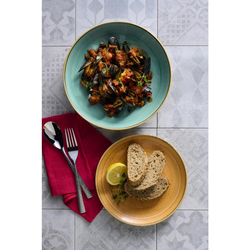 Churchill Stonecast Mandarine Coupe Teller 288mm (12 Stück)