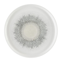 Churchill Studio Prints Fusion Achatgrauer Kochteller mit Wandung, 210 mm (6 Stück)