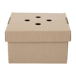 Fiesta kompostierbare Aufklapp-Burgerboxen (100 Stück)