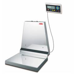 ADE Wandwaage mit Eichzulassung, TerrexN-60 + STAN07, 60 kg, Höchstlast: 60 kg