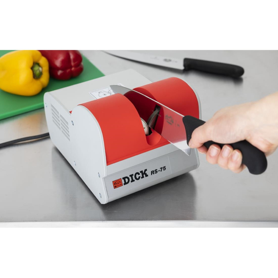 Dick RS-75 Nachschleifmaschine, Bild 6