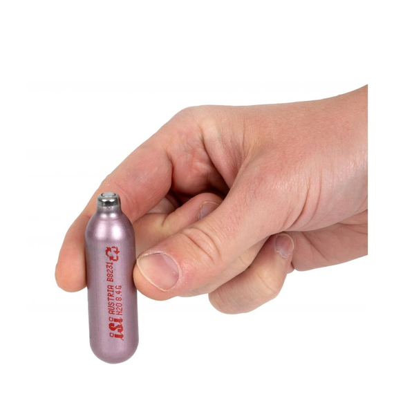 ISI Sahnekapseln (10 Stück), Bild 4