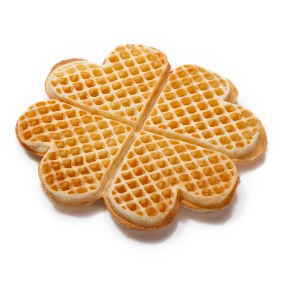 Neumärker Sunny Backplattensatz, Bild 4