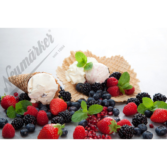 Neumärker Waffeleisen Eis-Waffel I, Bild 3