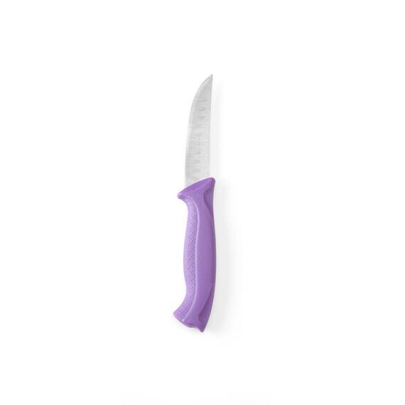 Hendi Violett - antiallergen Universalmesser 190 mm, Länge: 190 mm