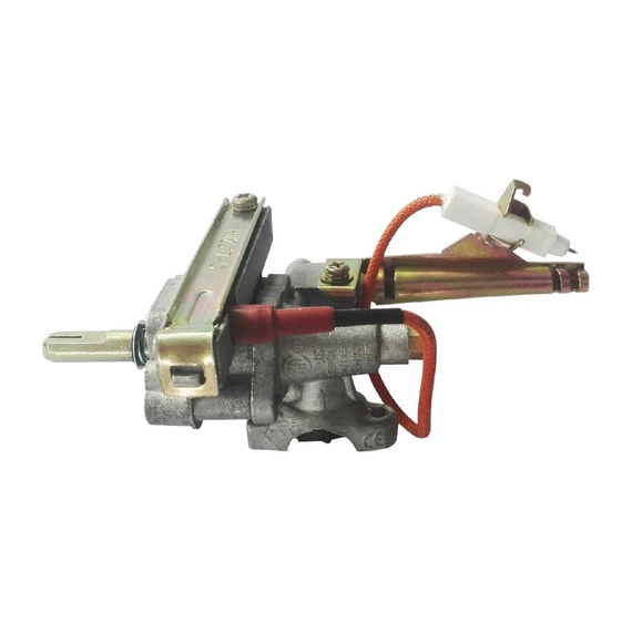 Buffalo Ventil Ersatzteil Buffalo Ventil für CP240