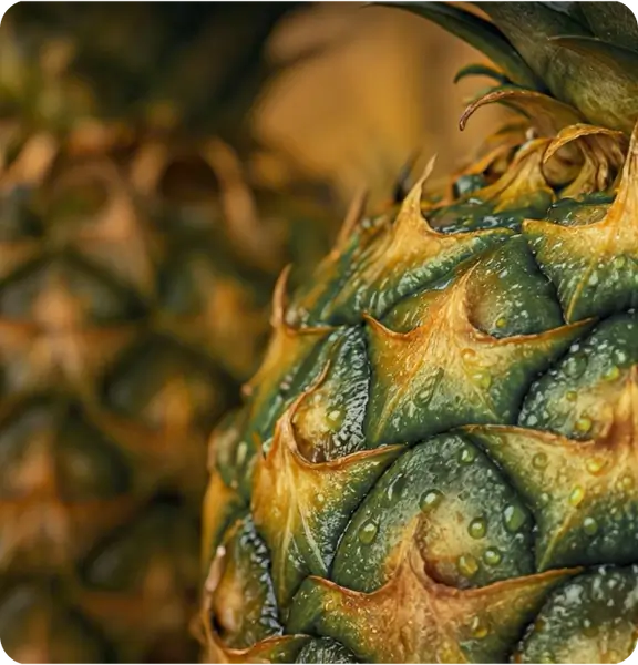 Ananas in Sekunden bereit