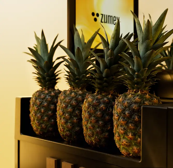 Zuverlässiger Ananasschneider